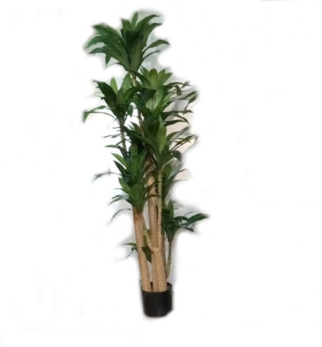 Artificial Tree (Dracaena)